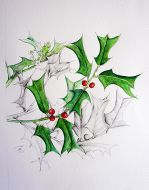 Ilex cornuta