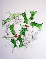 Ilex cornuta